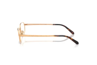 Side view Ralph Lauren RL5140 (9153)
