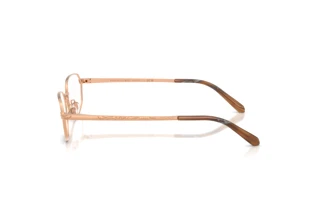Side view Ralph Lauren RL5140 (9329)