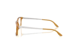 Side view Ralph Lauren RL6128 (5275)