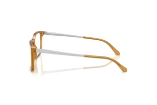 Side view Ralph Lauren RL6133 (5275)