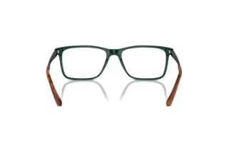 Rear view Ralph Lauren RL6133 (6140)