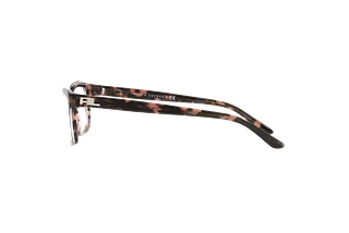 Side view Ralph Lauren RL6169 (5655)