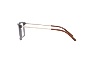 Side view Ralph Lauren RL6183 (5322)
