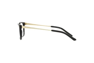 Side view Ralph Lauren RL6206 (5001)