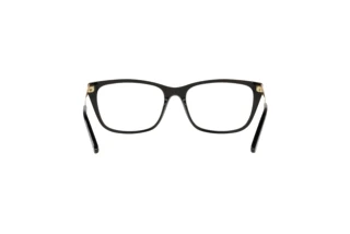 Rear view Ralph Lauren RL6206 (5001)
