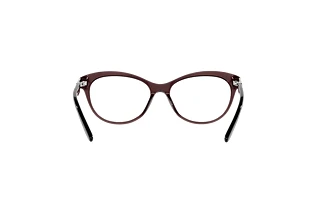 Rear view Ralph Lauren RL6216U (5855)