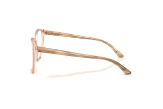 Side view Ralph Lauren RL6222 (6110)
