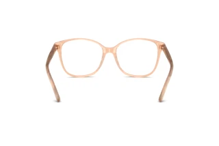 Rear view Ralph Lauren RL6222 (6110)