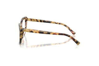 Side view Ralph Lauren RL6232U (5004)