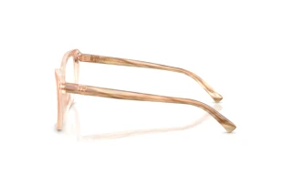 Side view Ralph Lauren RL6232U (6110)