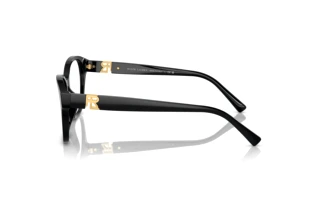 Side view Ralph Lauren RL6236U (5001)