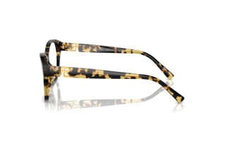 Side view Ralph Lauren RL6236U (5004)