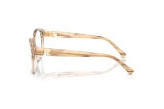 Side view Ralph Lauren RL6236U (6111)