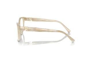 Side view Ralph Lauren RL6238U (6107)