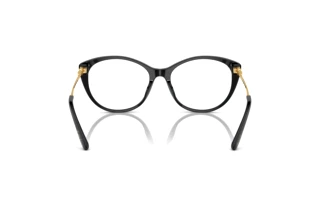 Rear view Ralph Lauren RL6239U (5001)