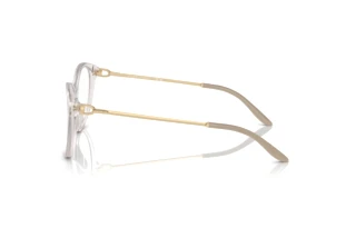 Side view Ralph Lauren RL6239U (6112)