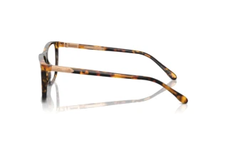 Side view Ralph Lauren RL6242U (5134)