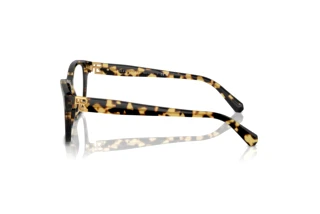 Side view Ralph Lauren RL6243 (5004)