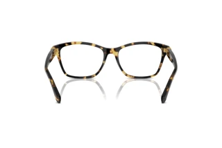 Rear view Ralph Lauren RL6243 (5004)