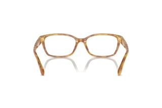 Rear view Ralph Lauren RL6244U (5304)