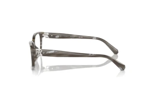 Side view Ralph Lauren RL6244U (6175)