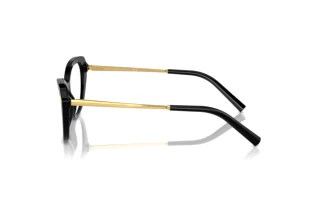 Side view Ralph Lauren RL6245 (5001)