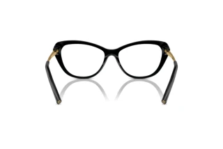 Rear view Ralph Lauren RL6245 (5001)