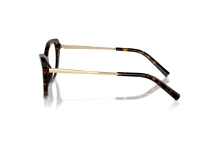 Side view Ralph Lauren RL6245 (5003)