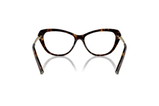 Rear view Ralph Lauren RL6245 (5003)