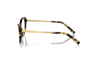 Side view Ralph Lauren RL6245 (5004)
