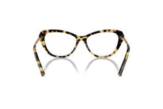 Rear view Ralph Lauren RL6245 (5004)