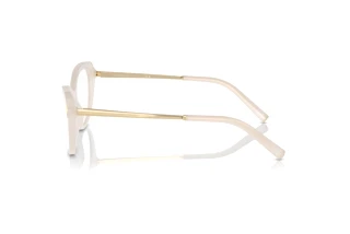 Side view Ralph Lauren RL6245 (6182)