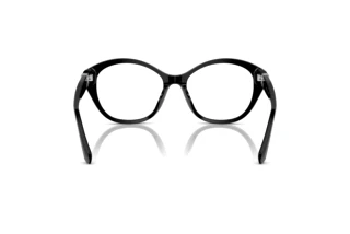 Rear view Ralph Lauren RL6246U (5001)
