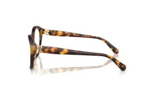 Side view Ralph Lauren RL6246U (5134)