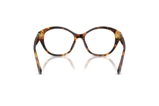 Rear view Ralph Lauren RL6246U (5134)
