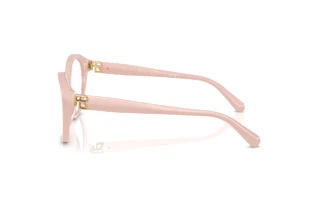 Side view Ralph Lauren RL6246U (6053)