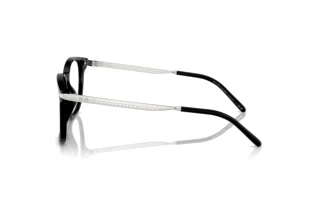 Side view Ralph Lauren RL6248U (5001)