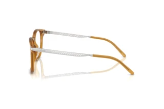 Side view Ralph Lauren RL6248U (5275)