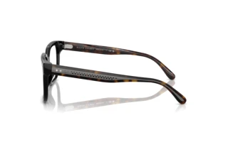 Side view Ralph Lauren RL6249U (5241)