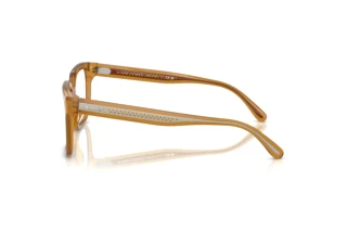 Side view Ralph Lauren RL6249U (5275)