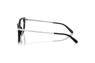 Side view Ralph Lauren RL6250U (5001)