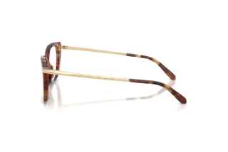 Side view Ralph Lauren RL6250U (6056)