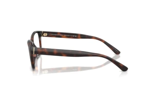 Side view Ralph Lauren RL6252U (6241)