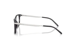 Side view Ralph Lauren RL6253U (5965)