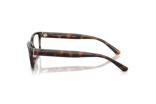 Side view Ralph Lauren RL6254U (6241)