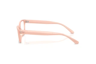 Side view Ralph Lauren RL6254U (6246)