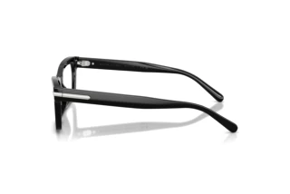 Side view Ralph Lauren RL6255U (5001)