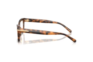 Side view Ralph Lauren RL6255U (6089)