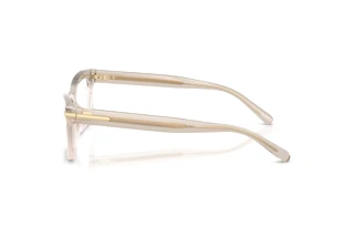 Side view Ralph Lauren RL6255U (6112)