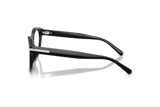 Side view Ralph Lauren RL6256U (5001)